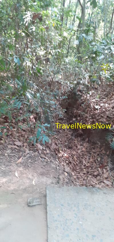 Travel guide to Cu Chi Tunnels, Vietnam