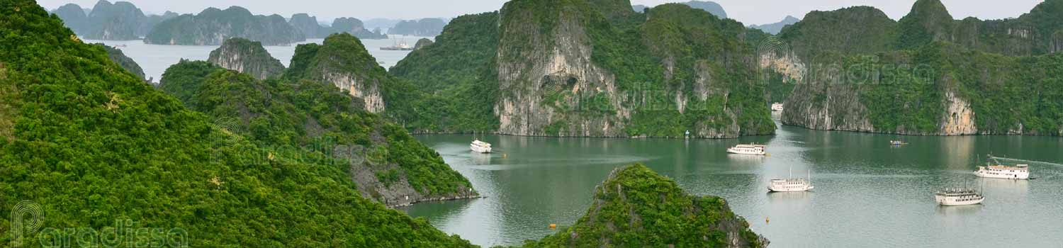 Vietnam Tour Operators Vietnam Travel Agencies with Vietnam Luxury Holidays