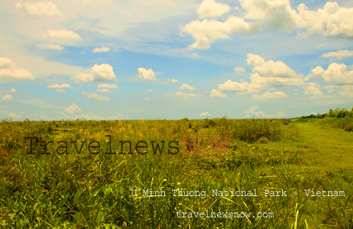 U Minh Thuong National Park in Kien Giang