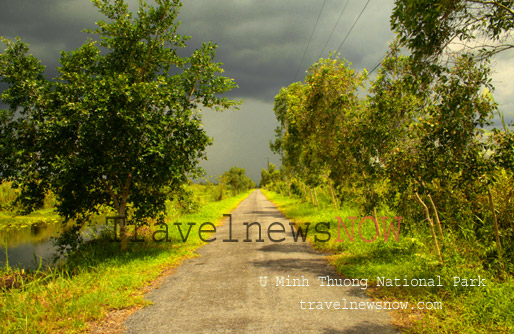 Road into U Minh Thuong National Park