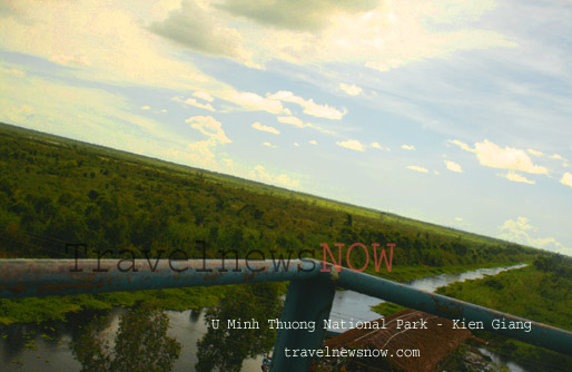 U Minh Thuong National Park from the observation tower