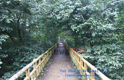 Path to the Prehistoric Man Cave, Cuc Phuong National Park