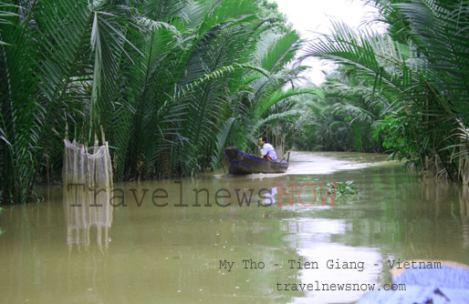 Coconut Forest on an island at Ben Tre