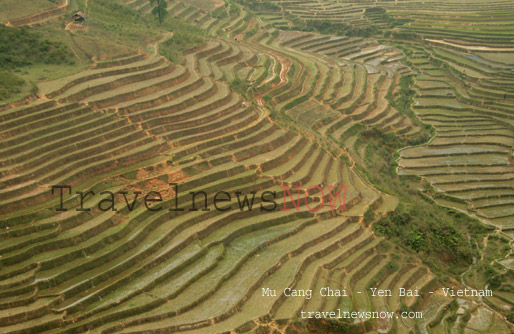 Mu Cang Chai, Yen Bai, Vietnam