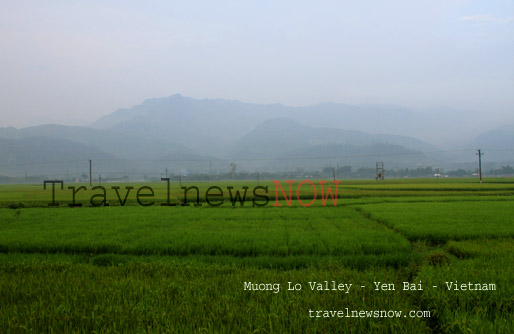 Muong Lo Valley, Yen Bai, Vietnam